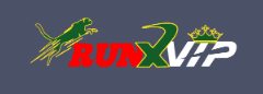 Discovering the Excitement of Runx Bet 72 Discovering the Excitement of Runx Bet 72